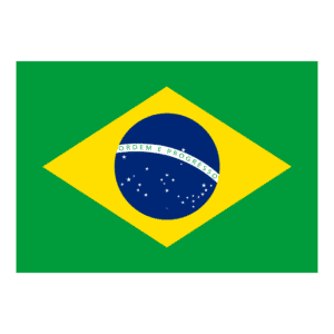 BANDEIRA DO BRASIL VETOR